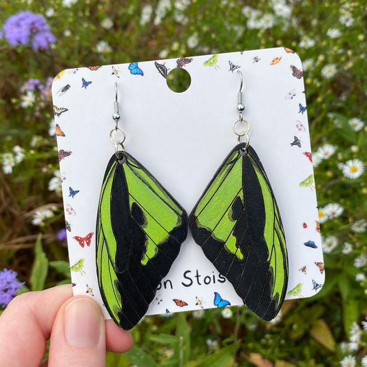 Hand-painted Goliath Birdwing Butterfly Wing Earrings