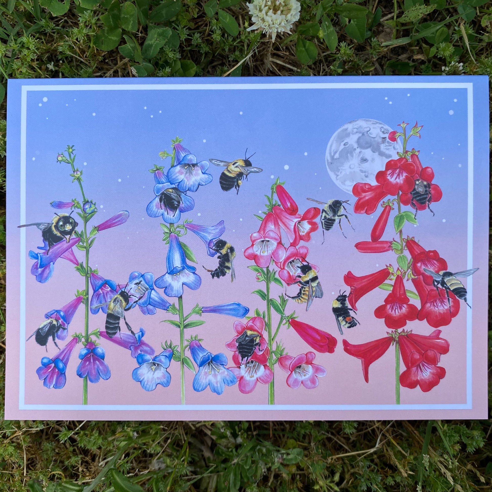 A card featuring bees and penstemon