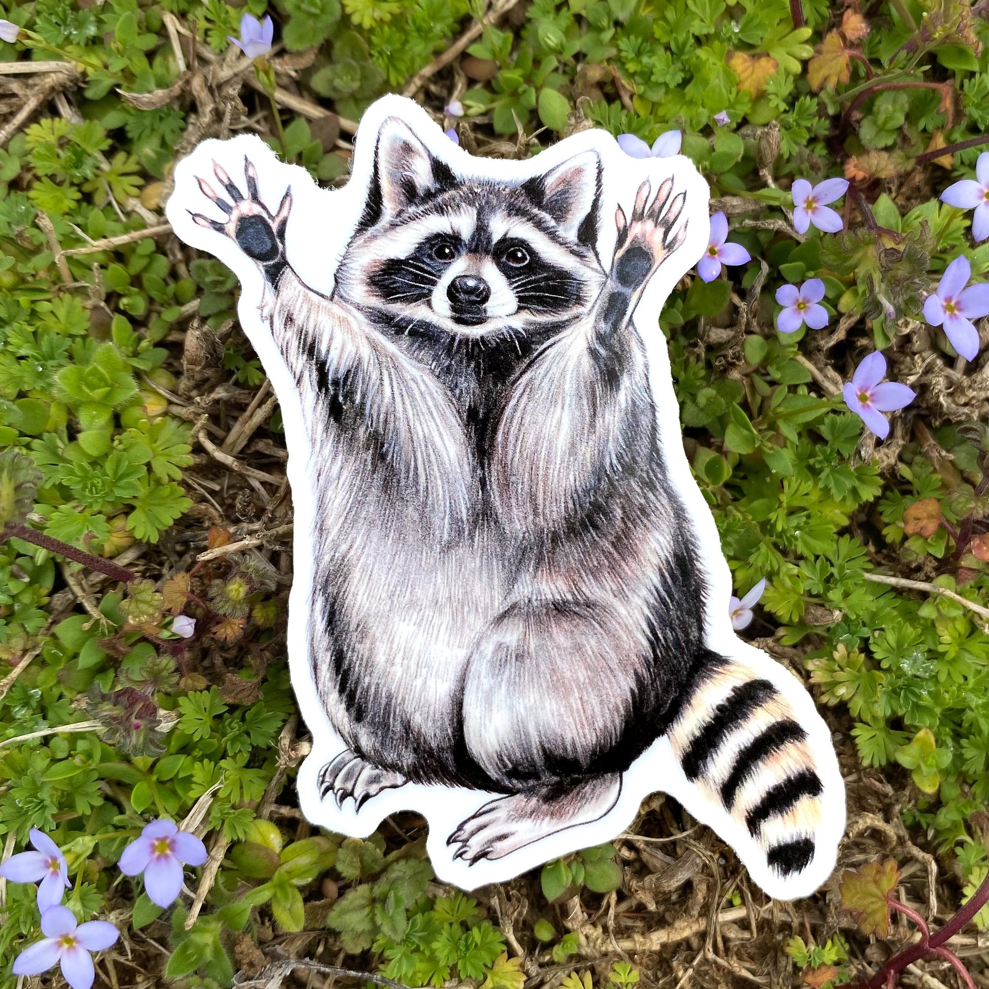 A weatherproof vinyl sticker of a raccoon with its hands raised in front of a flower background.