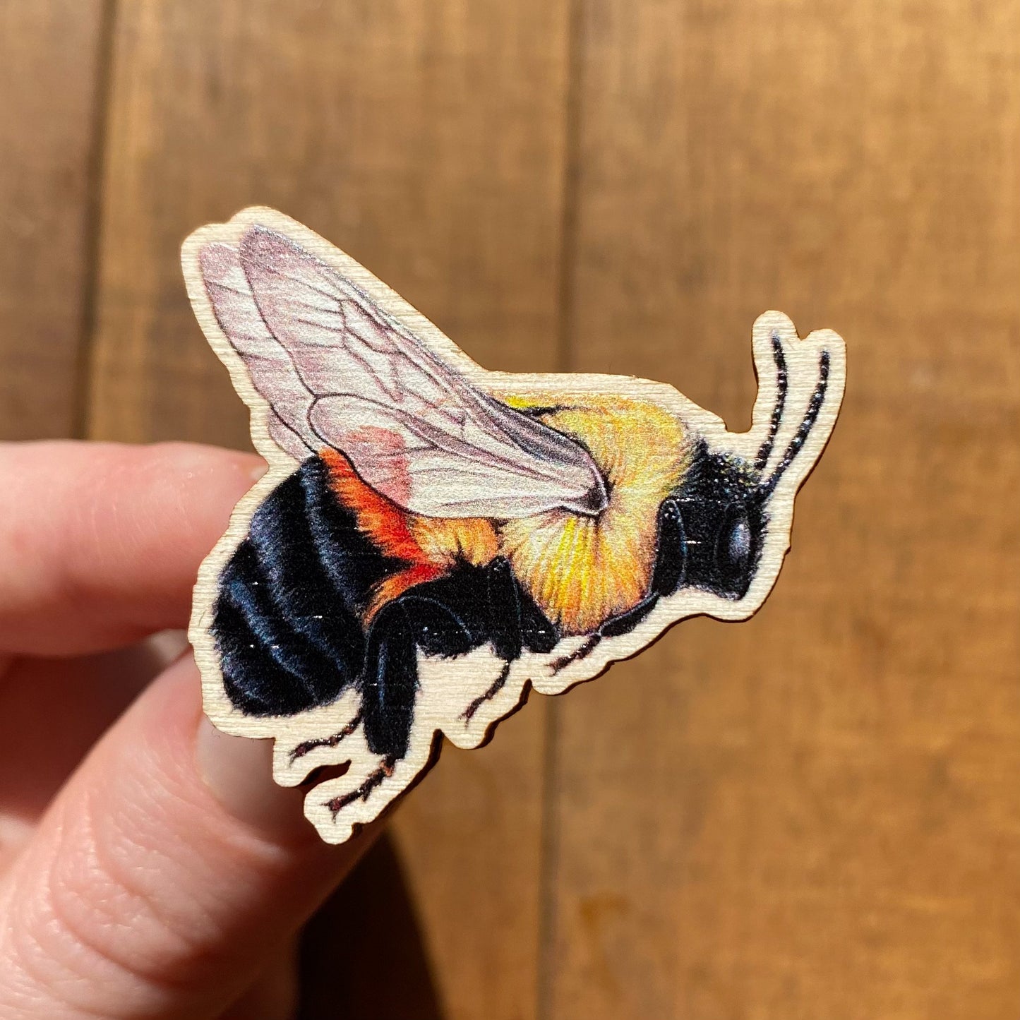 Brown-Belted Bumble Bee Pin