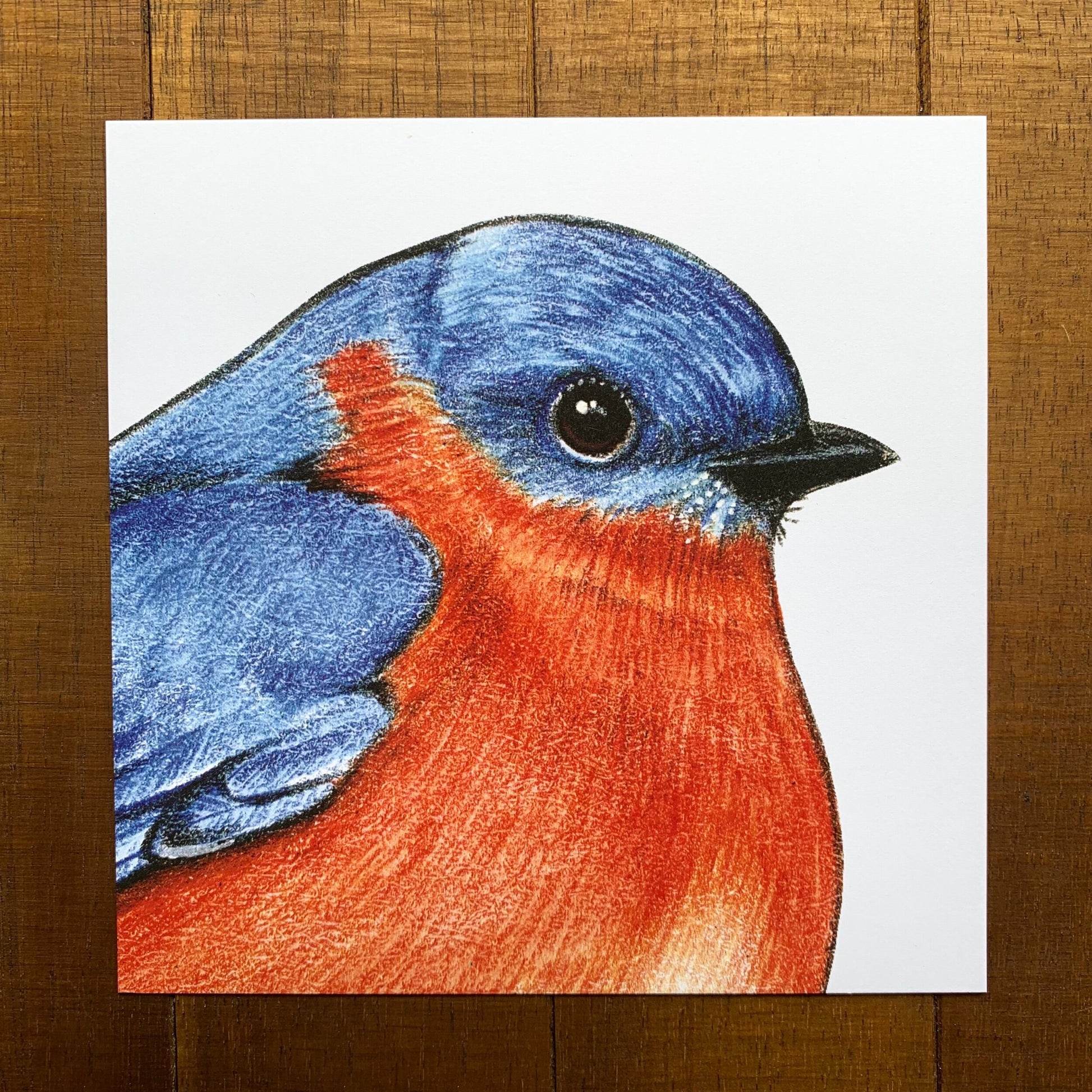 A 5" by 5" print of a portrait of a male eastern bluebird.