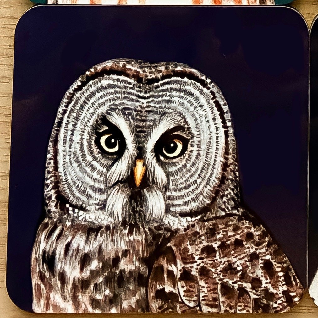 North American Owl Coaster (Individual)