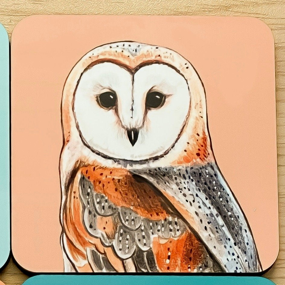 North American Owl Coasters (Entire Set)