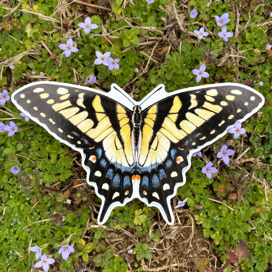 Eastern Tiger Swallowtail Weatherproof Vinyl Sticker