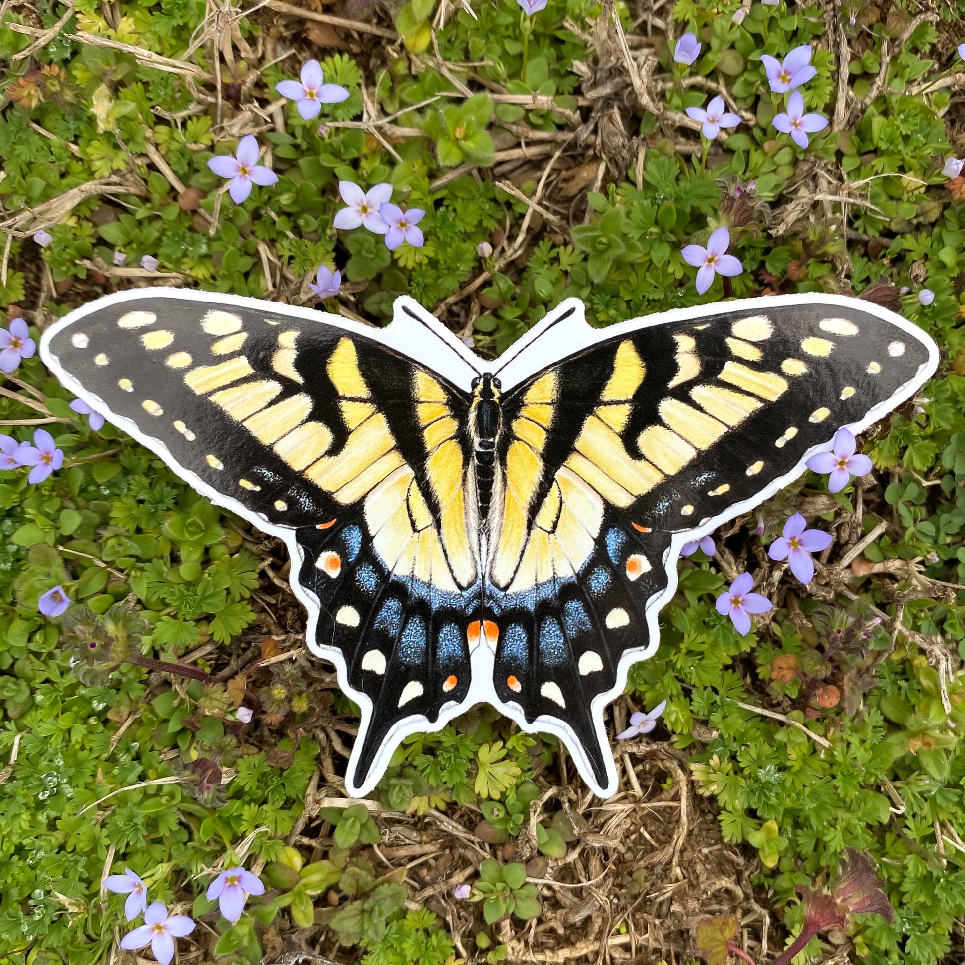 A weatherproof sticker featuring an illustration of an eastern tiger swallowtail