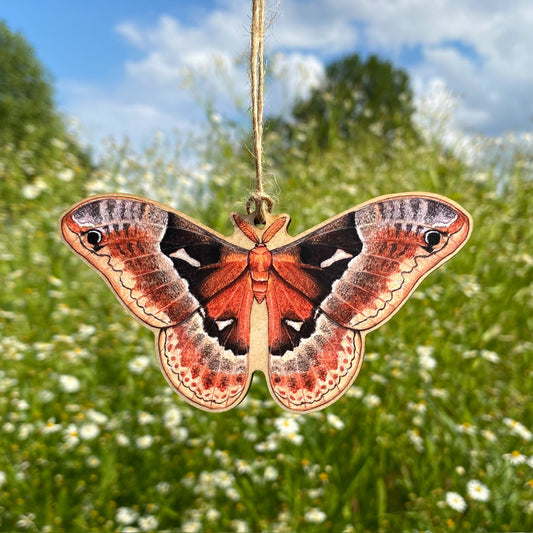 A wooden ornament strung with twine of a male tuliptree silkmoth.