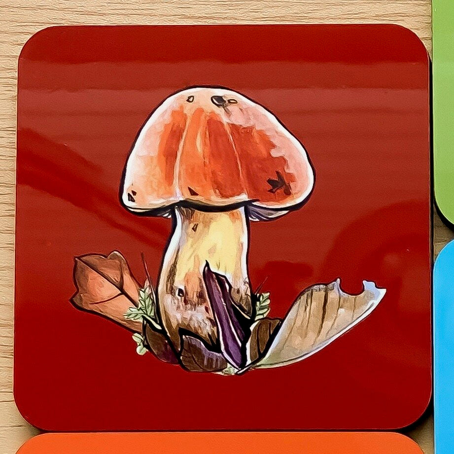 Mushroom coasters