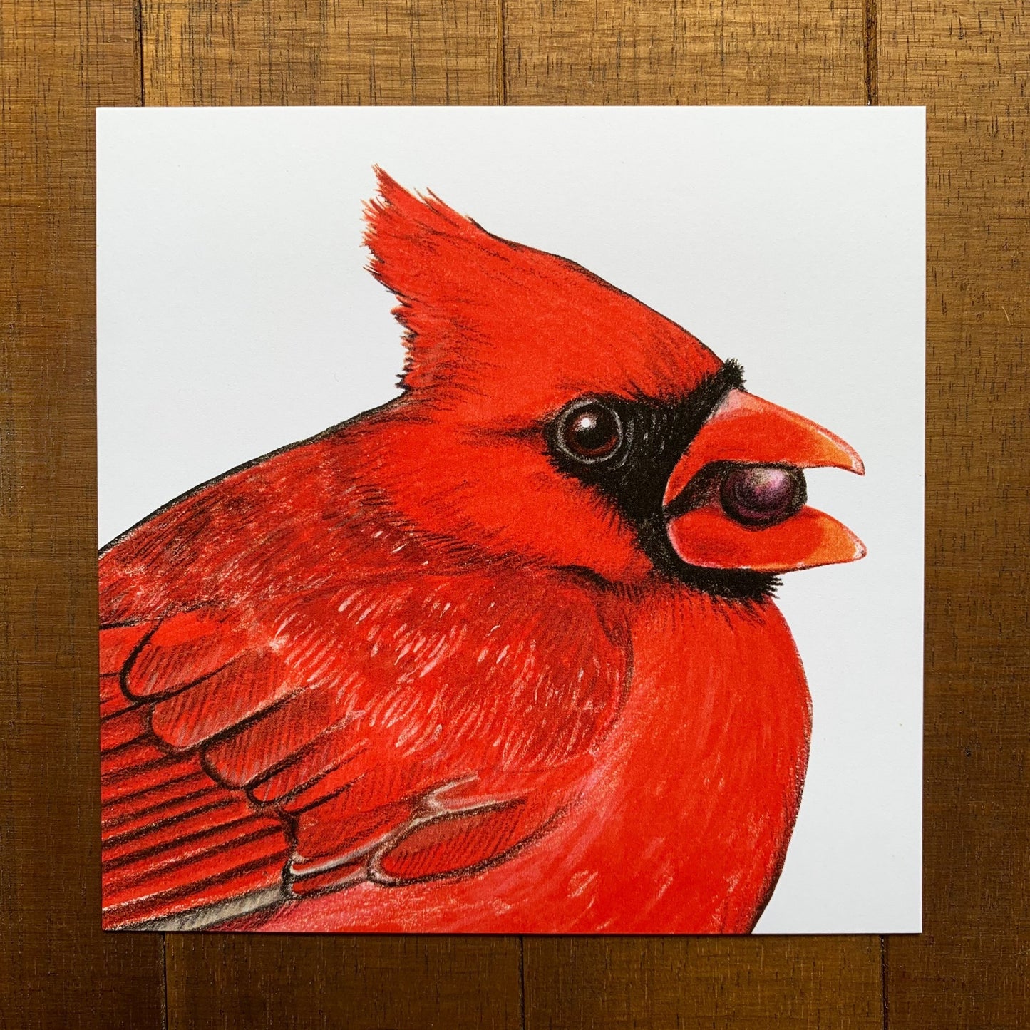 Male Northern Cardinal Print (5" x 5")