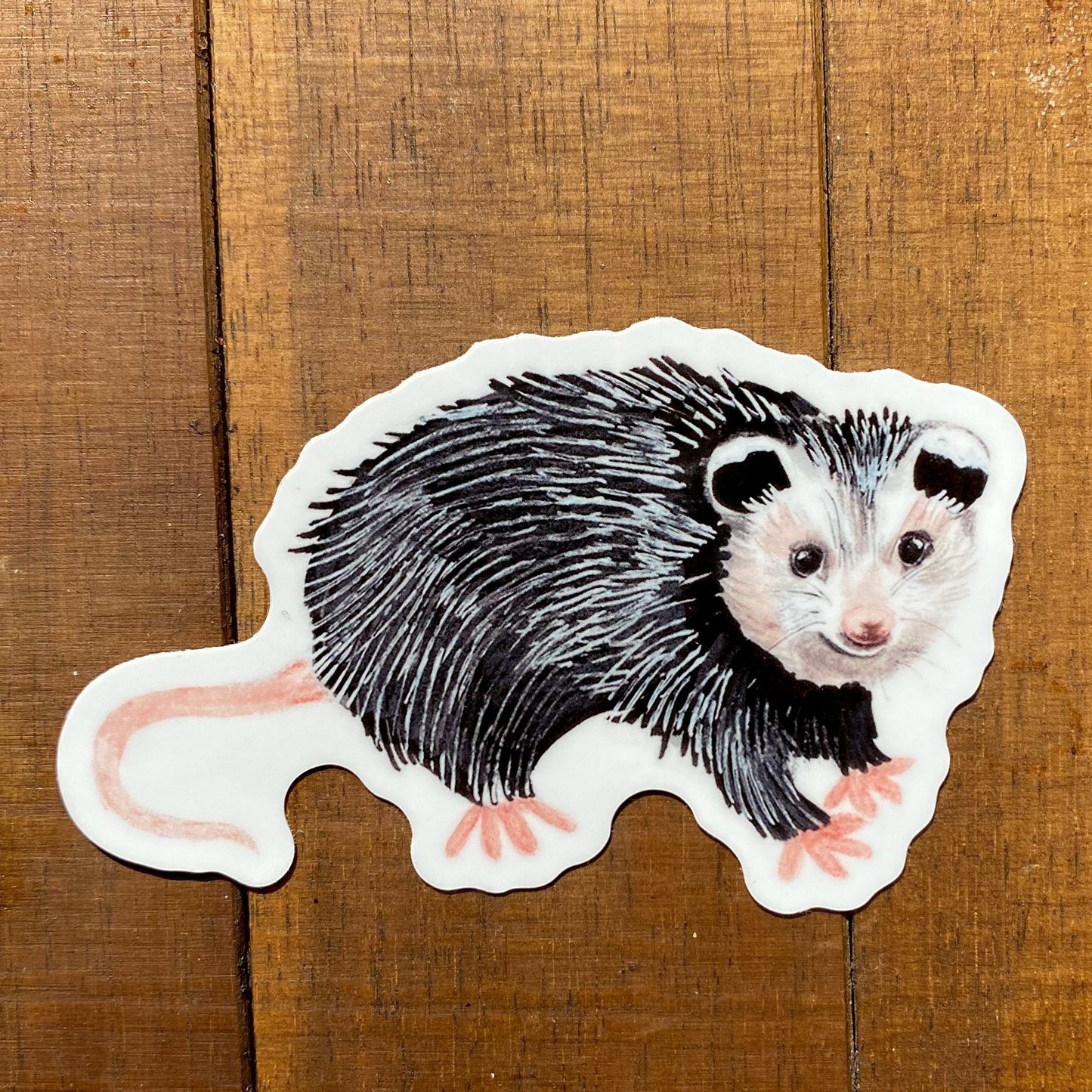 Rupert the Opossum Weatherproof Vinyl Sticker