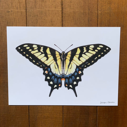 A print featuring an illustration of a tiger swallowtail butterfly