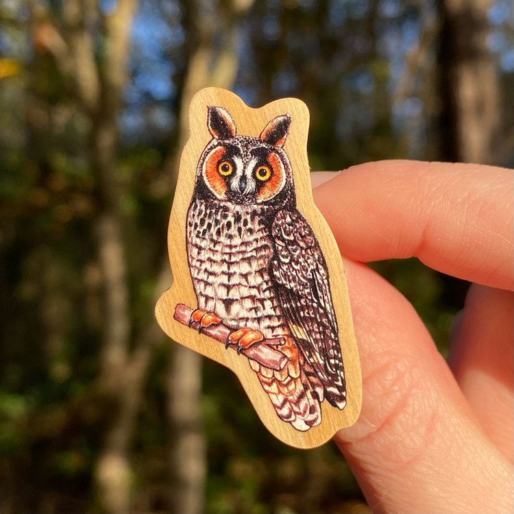 Long-eared Owl Pin