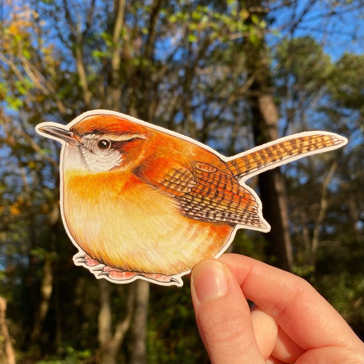 A hand holding a sticker featuring an illustration of a Carolina wren