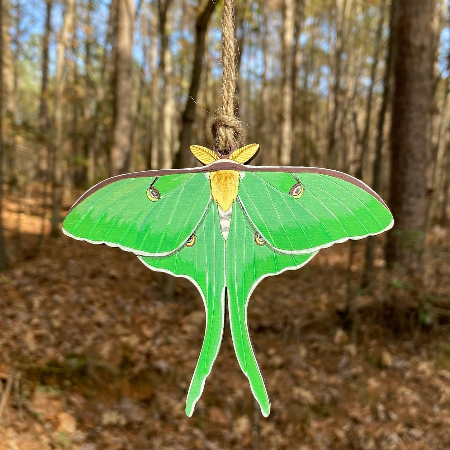 Luna Moth with Wings Spread Hand-painted Ornament