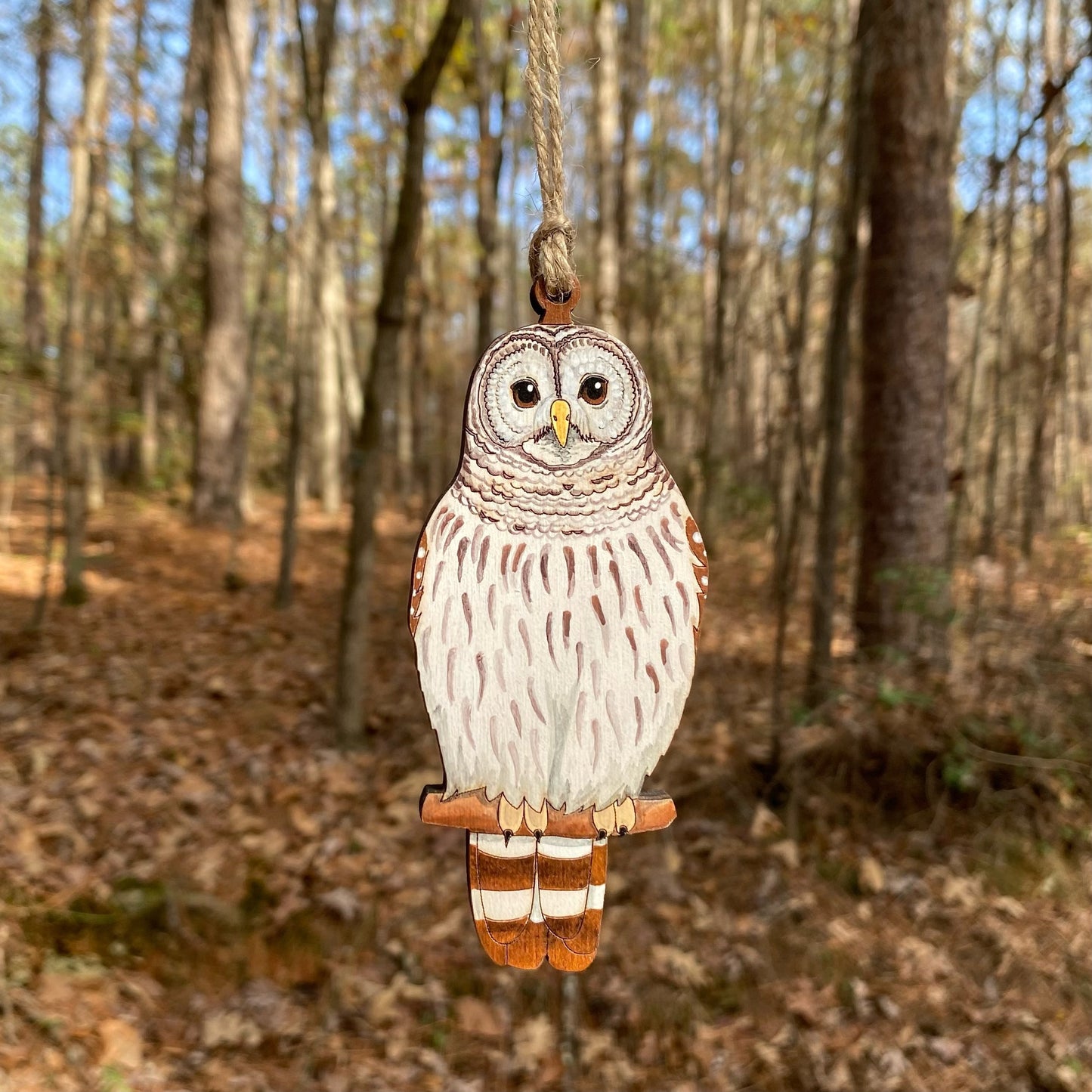 Barred Owl Hand-Painted Ornament
