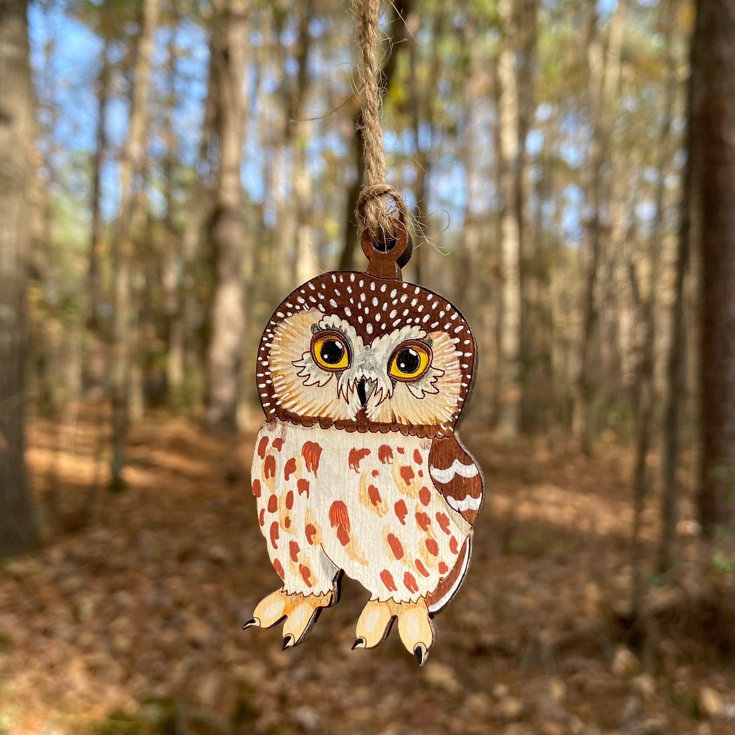 Saw-whet Owl Hand-painted Ornament