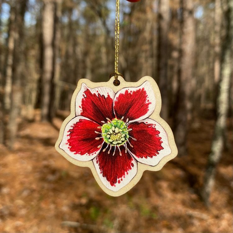 A wood print ornament featuring an illustration of a Lenten rose