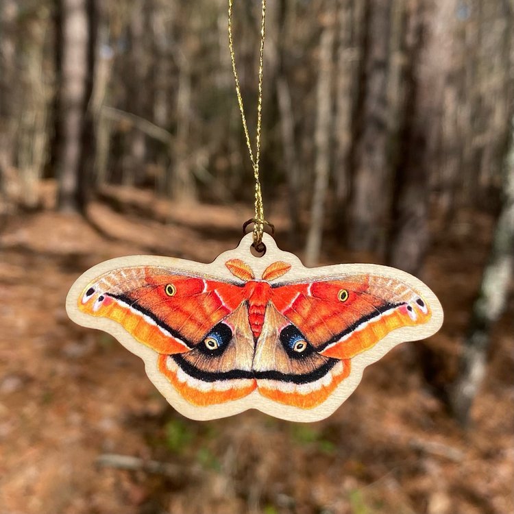 A wood print ornament featuring an illustration of a Polyphemus moth