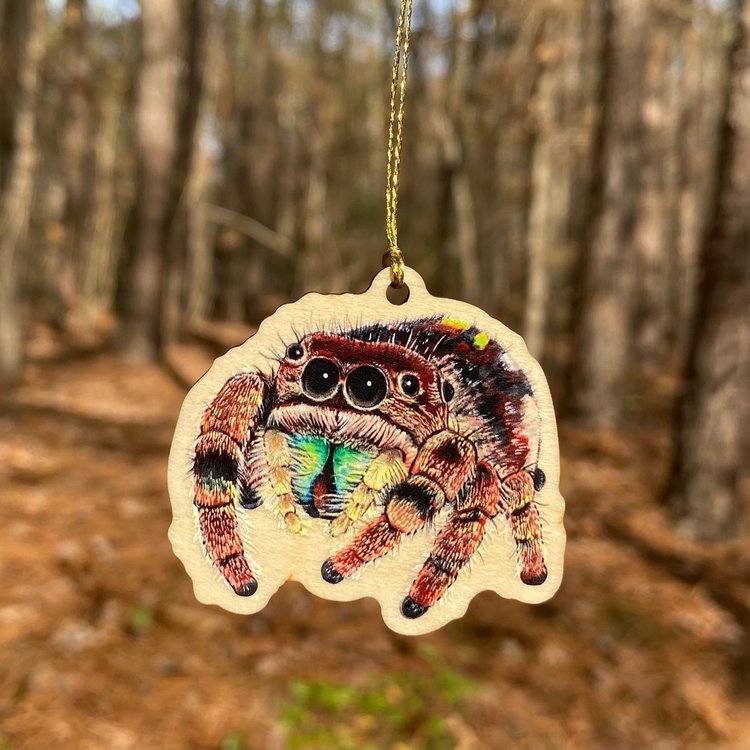 Small Jumping Spider Wood Print Ornament