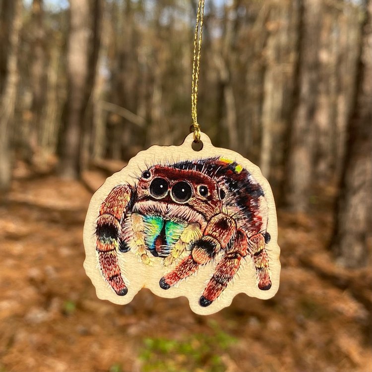 A small wood ornament strung up with gold string of a brown jumping spider.