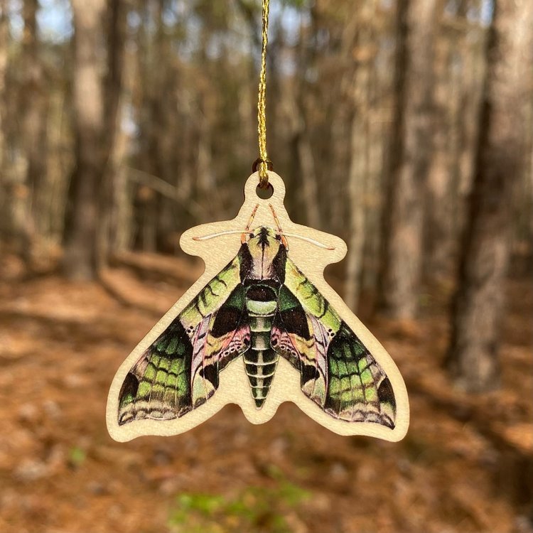 A small wood ornament strung up with gold string of a Pandorus sphinx.