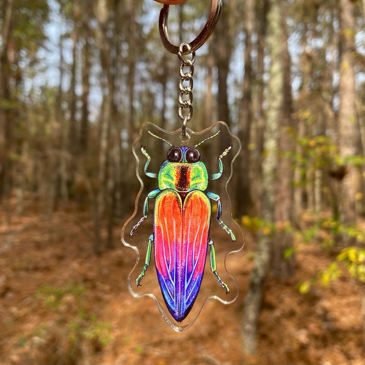 A keychain featuring a rainbow jewel beetle