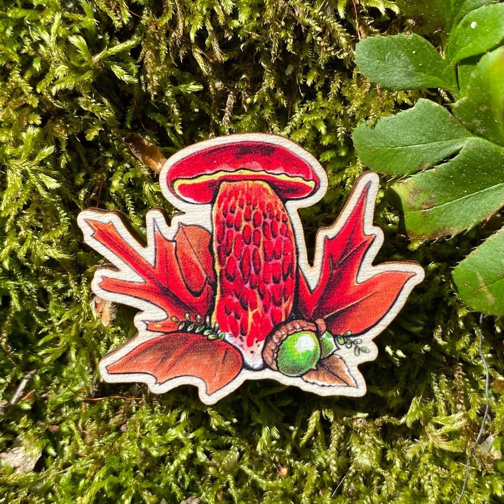 A sustainably sourced pin featuring an illustration of a frost bolete mushroom