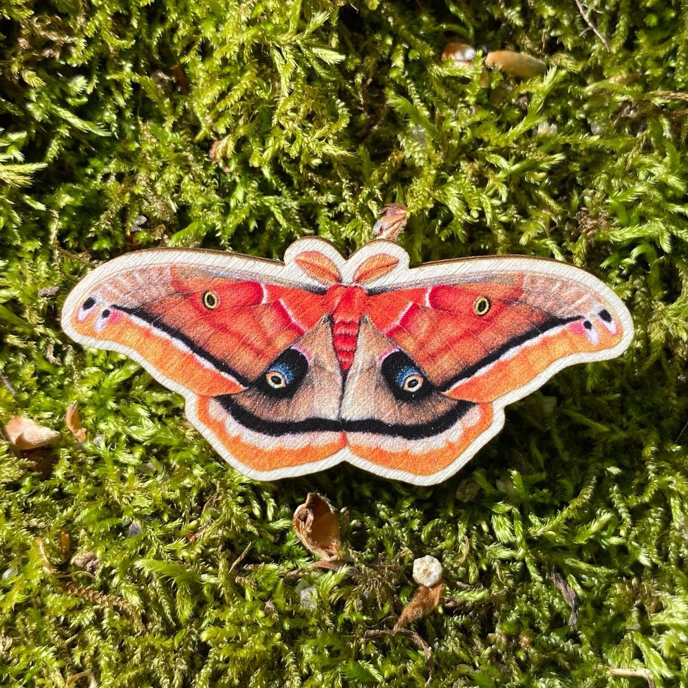 Polyphemus Moth Pin