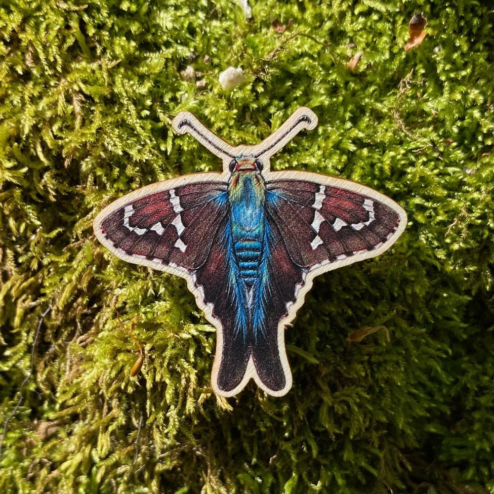 A sustainably sourced wooden pin featuring a long-tailed skipper