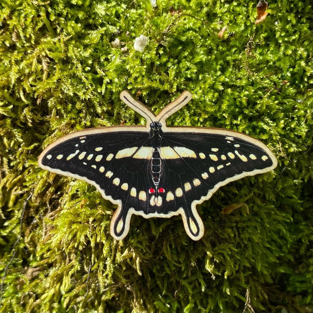 A sustainably sourced wooden pin featuring a giant swallowtail