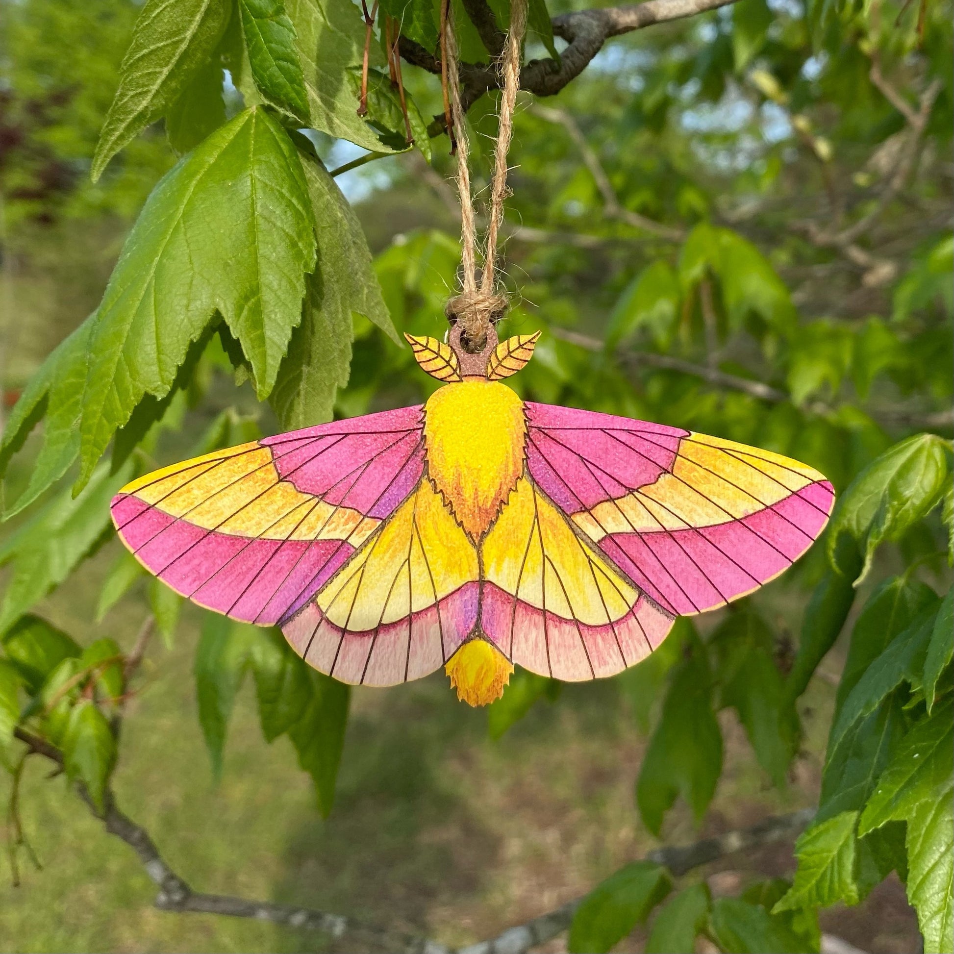 A hand-painted ornament of a rosy maple moth