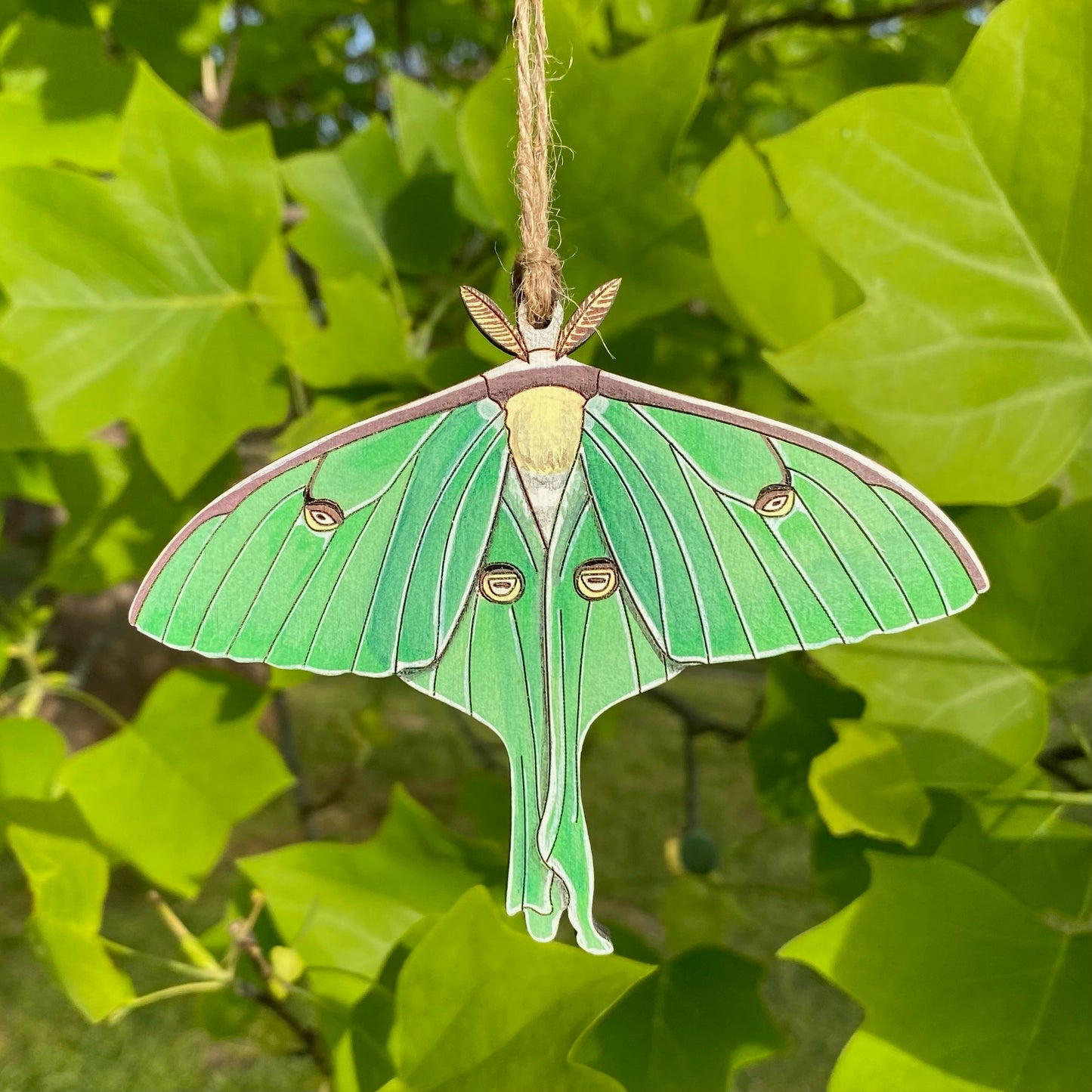 Luna Moth Hand-painted Ornament