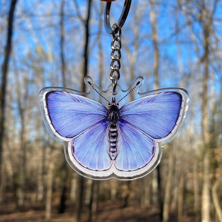 A keychain of a spring azure butterfly being held in front of the forest.