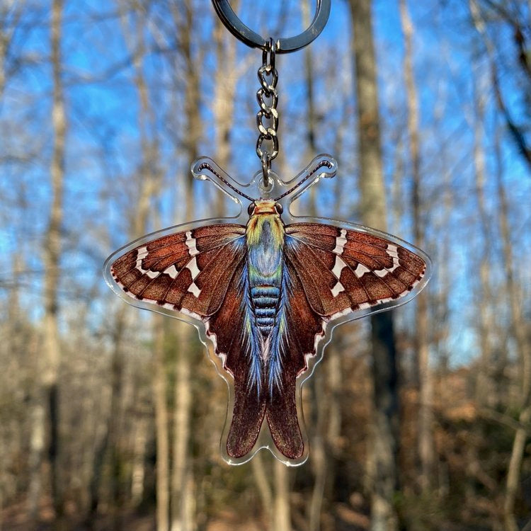 A keychain of a long-tailed skipper butterfly being held in front of the forest. 