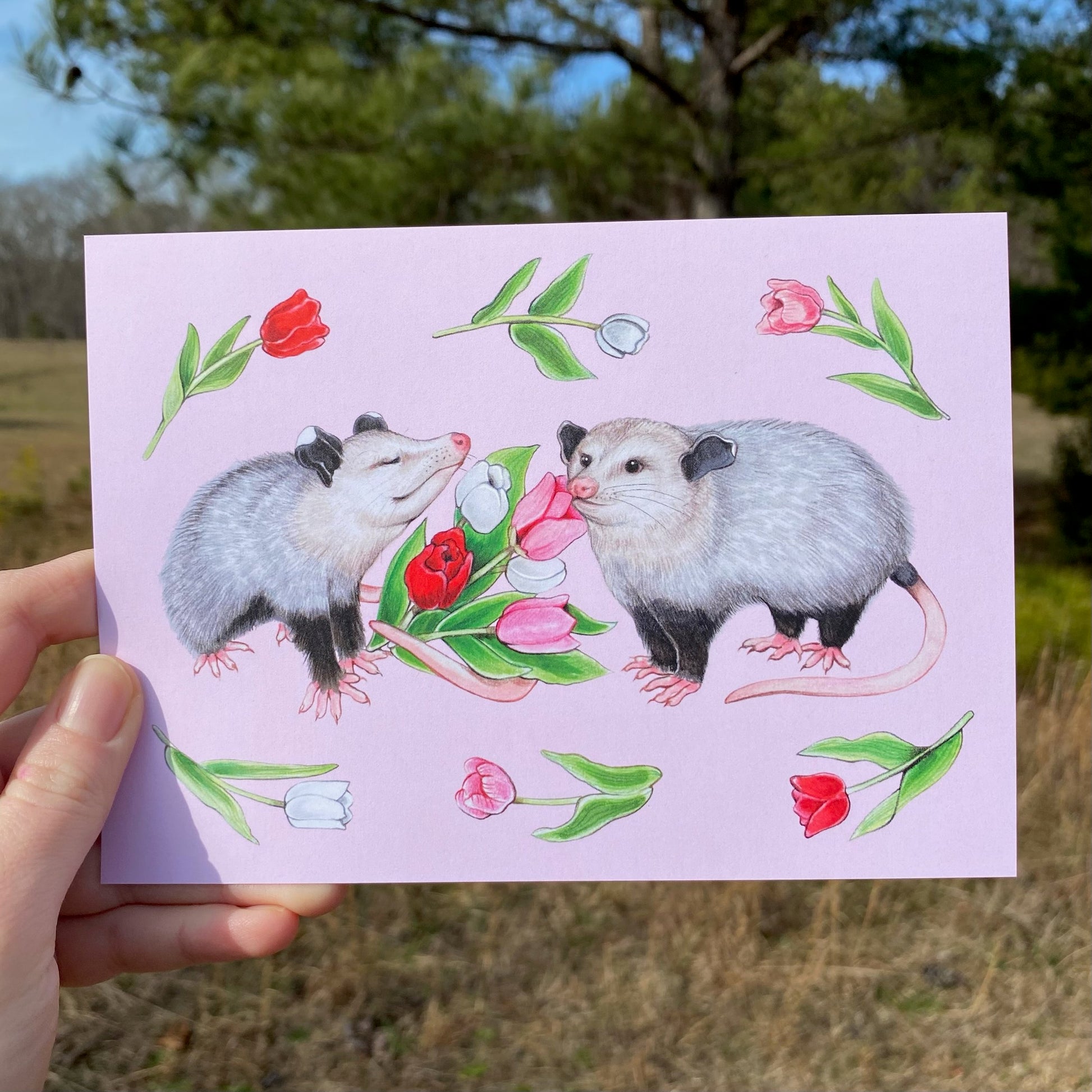 A postcard featuring an opossum marching in front of a rainbow with a green background