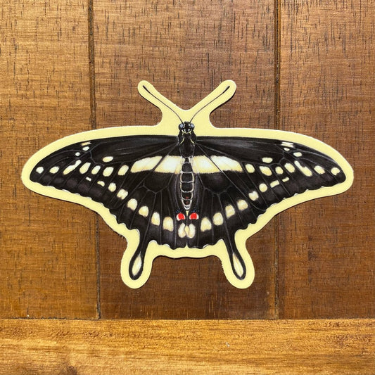 Giant Swallowtail Weatherproof Vinyl Sticker