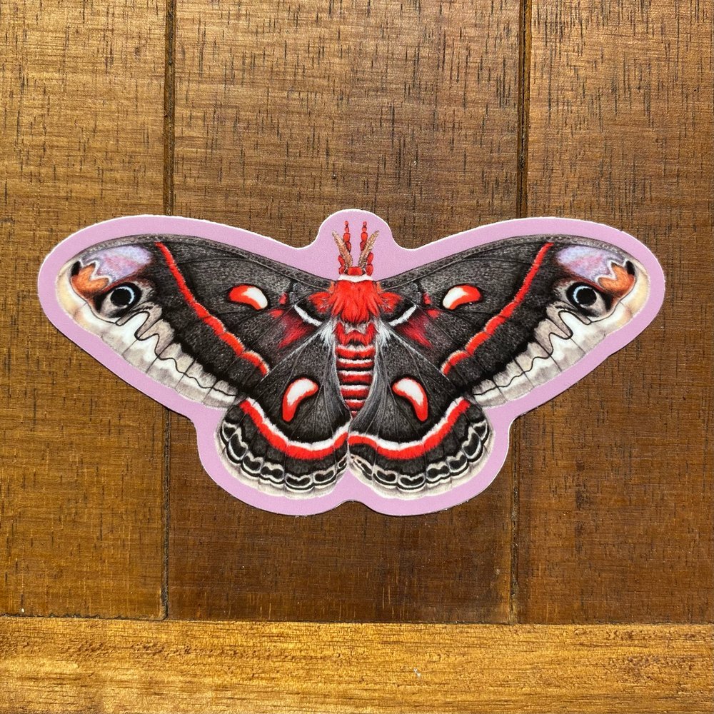 Cecropia Moth Weatherproof Vinyl Sticker (Purple Background)