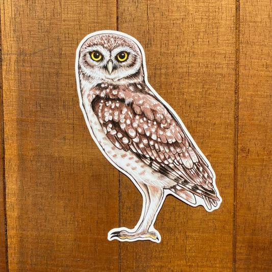 Burrowing Owl Weatherproof Vinyl Sticker