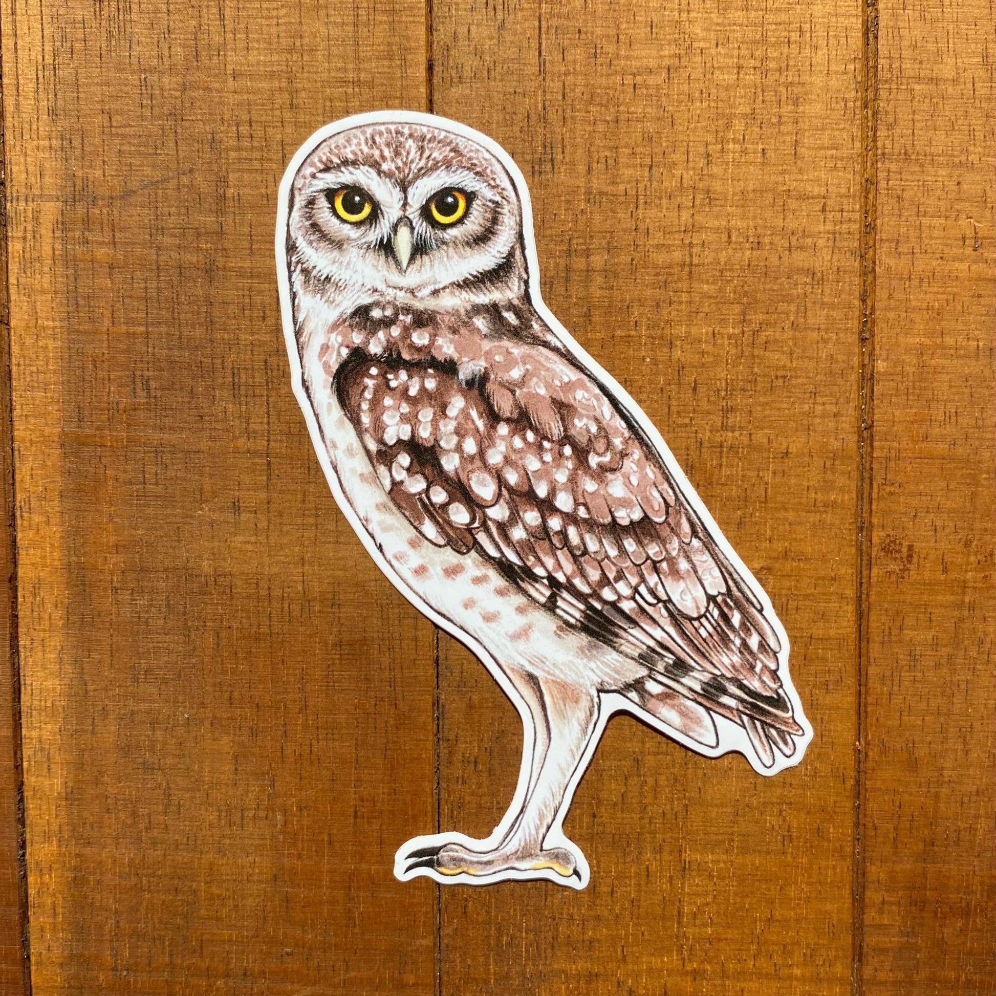 A weatherproof vinyl sticker featuring an illustration of a burrowing owl