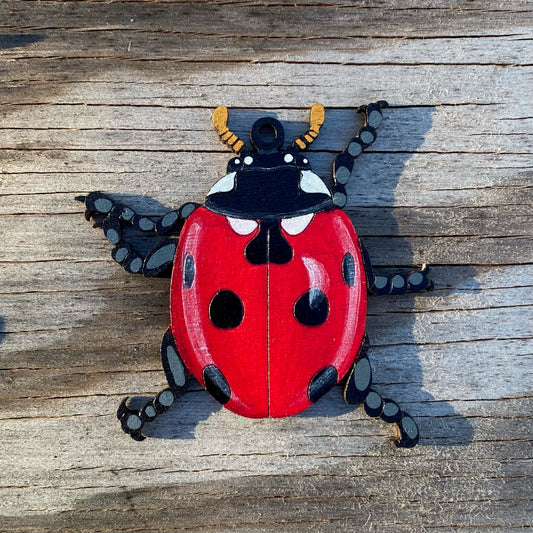 A hand-painted ladybug ornament