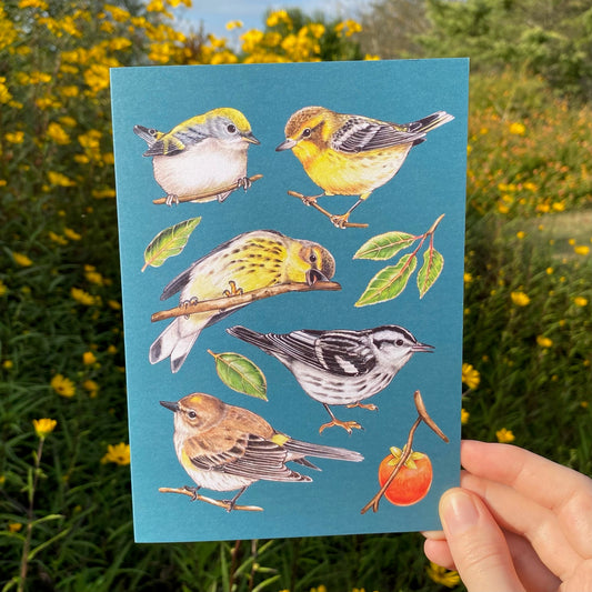 Warblers and Persimmon Greeting Card