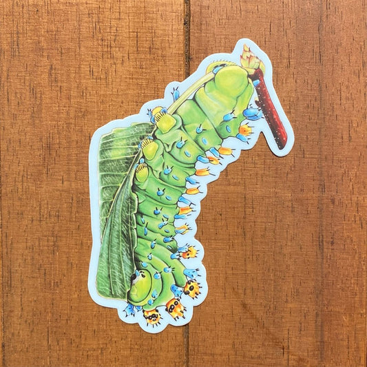 Cecropia Caterpillar Weatherproof Vinyl Sticker