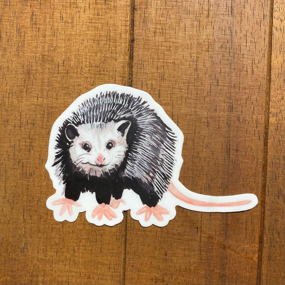 Winona the Opossum Weatherproof Vinyl Sticker