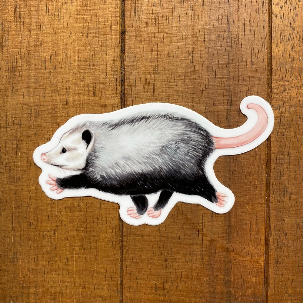 Raz the Opossum Weatherproof Vinyl Sticker
