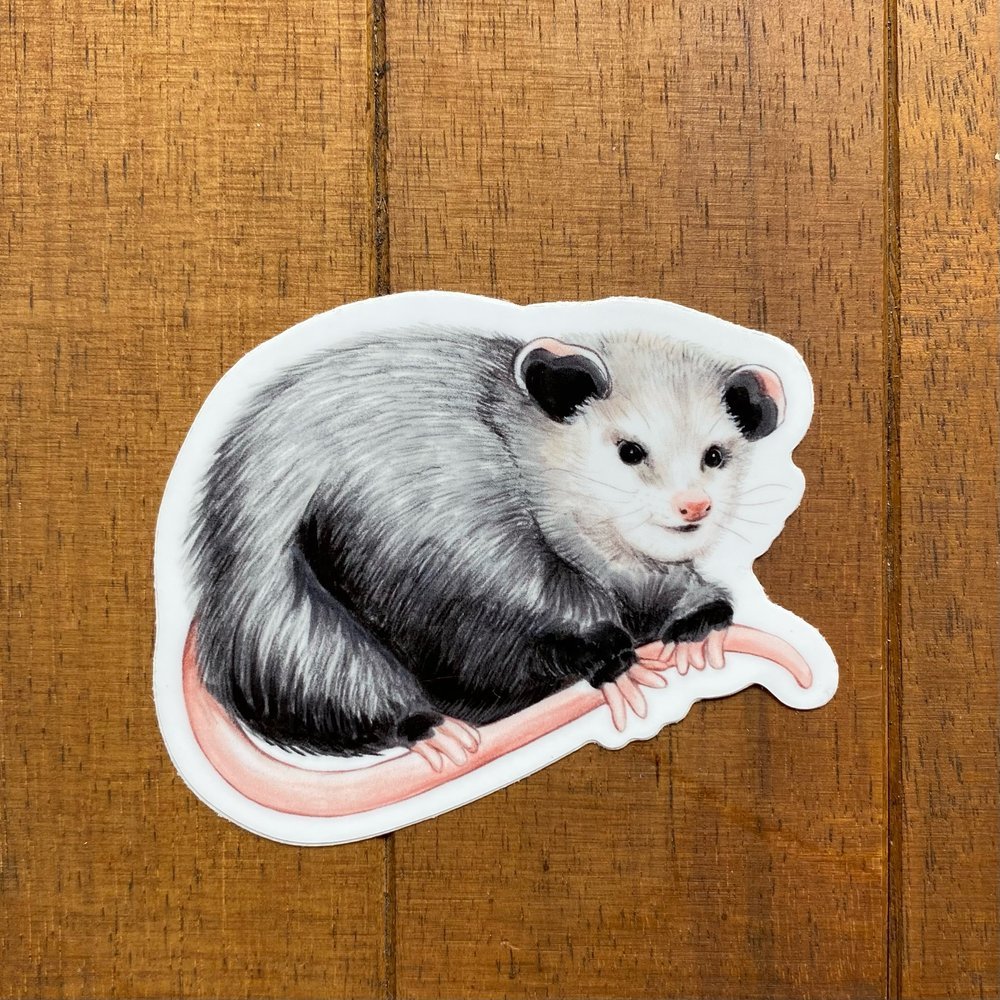 A weatherproof sticker featuring an illustration of a smug opossum holding its tail