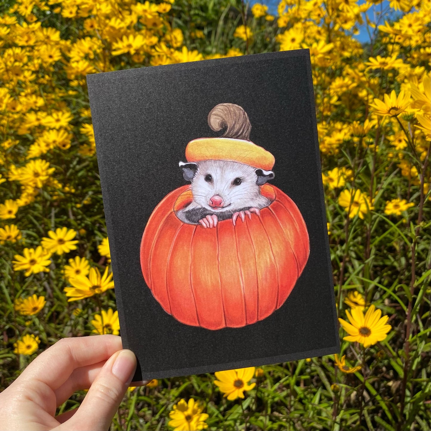 Pumpkin Opossum Postcard