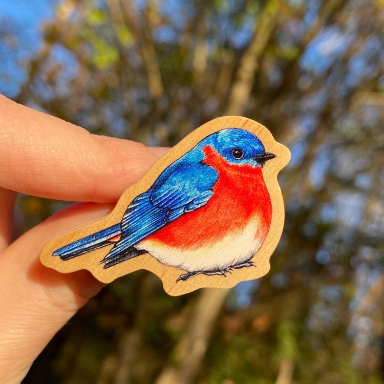 Eastern Bluebird Pin